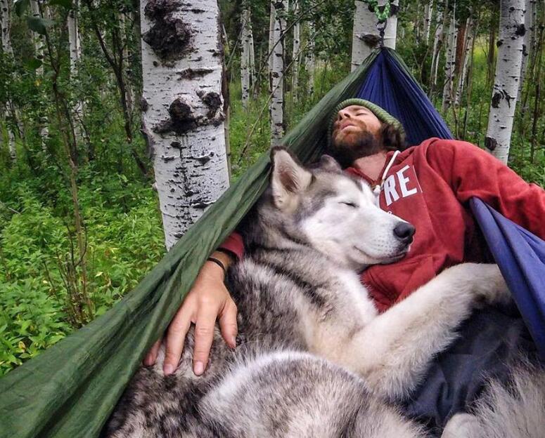 How to Keep Your Dog Warm While Camping? Highly Rated Tips (2021)